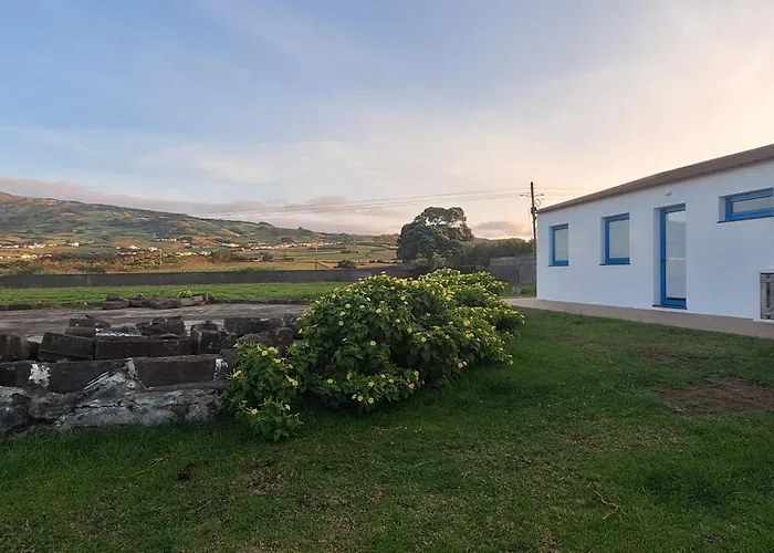 Blue Shark הורטה