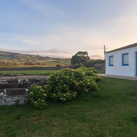 Blue Shark أورتا