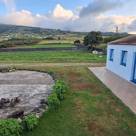 Blue Shark أورتا