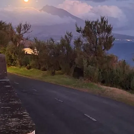 Blue Shark أورتا